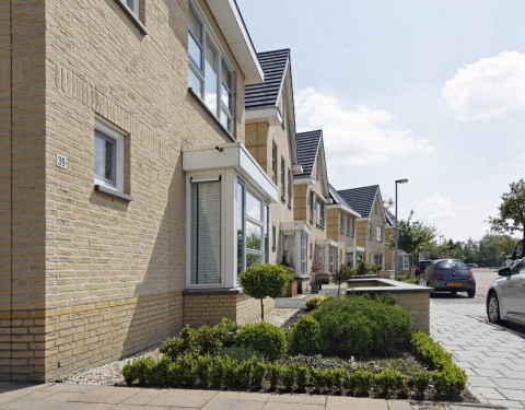 Tureluur Veldhoven