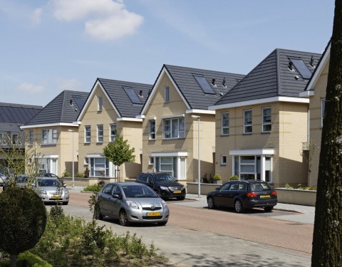 Tureluur Veldhoven